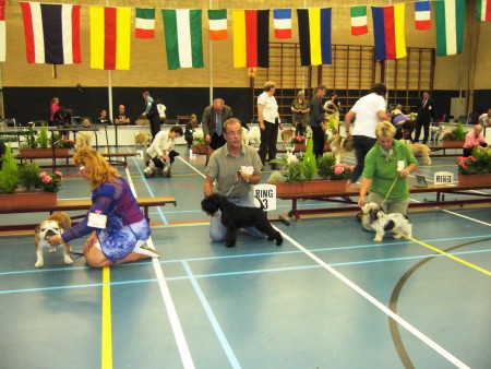 20-09-2009 Puppyshow KV Waalwijk